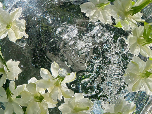 1757011 (a): :1920x1440